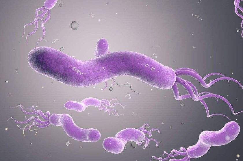 幽門螺桿菌口臭