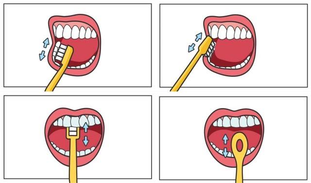 正確的刷牙方法和步驟