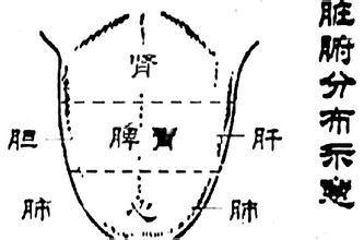 舌苔對口臭的影響