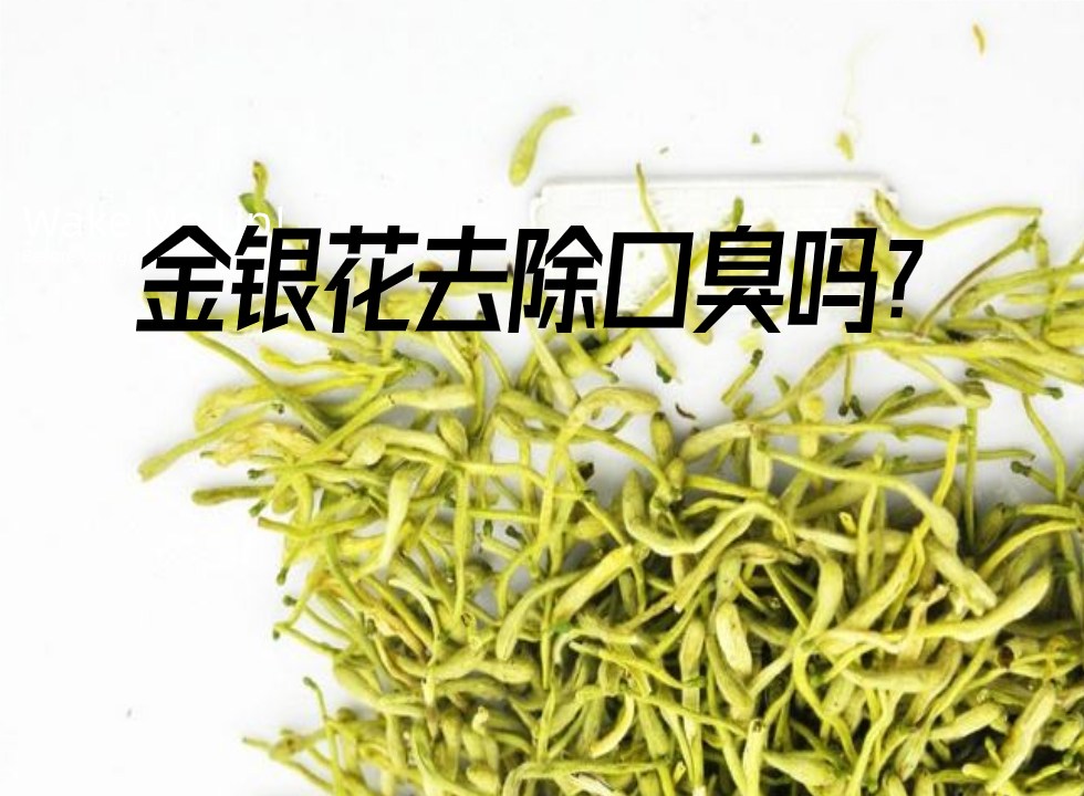 金銀花實(shí)拍
