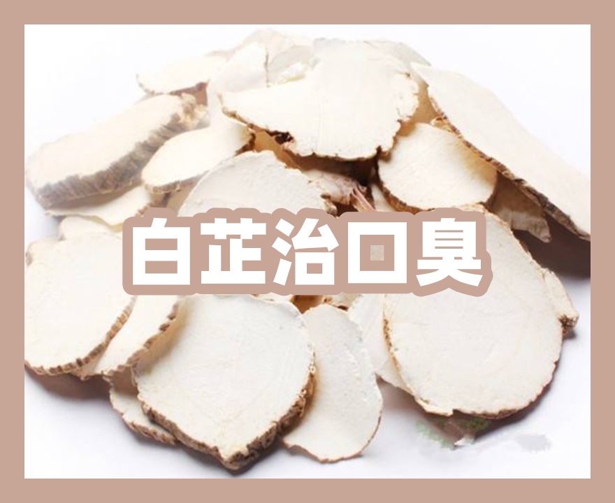 中藥白芷