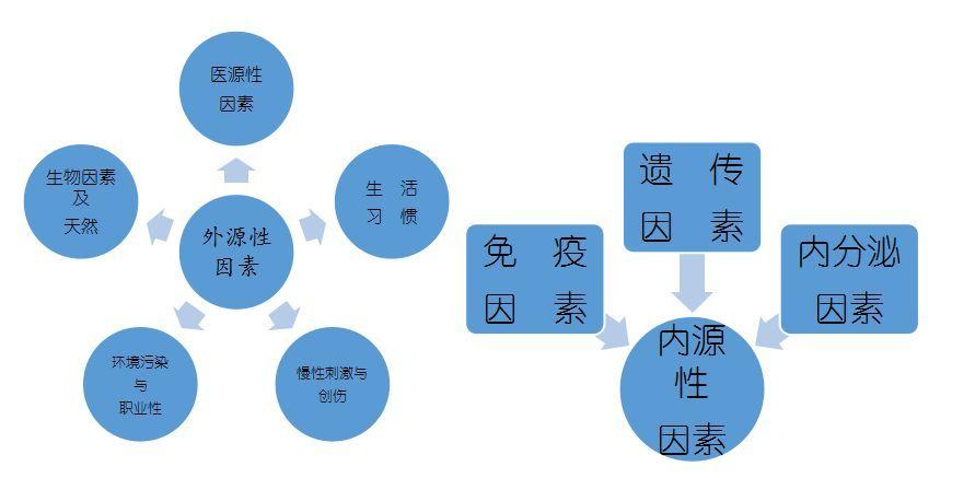 內(nèi)源性口臭