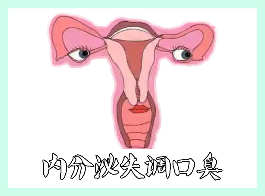 女性內(nèi)分泌