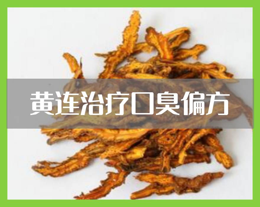 黃連中藥