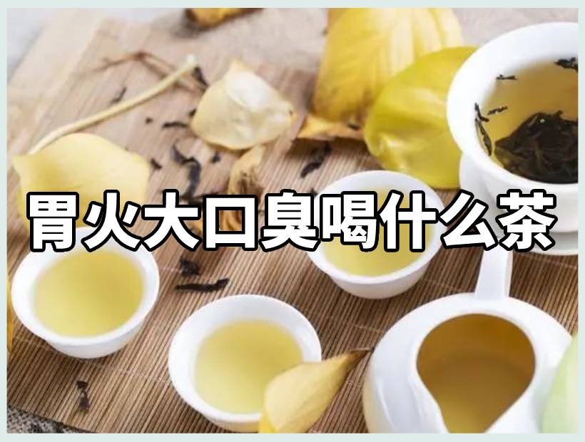 喝茶的茶具