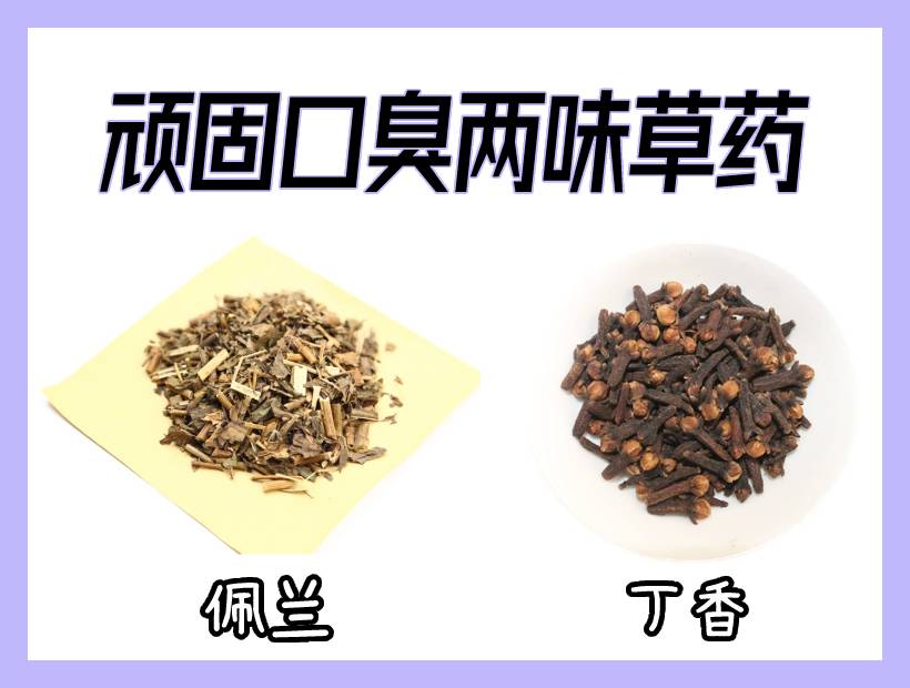 兩味中藥