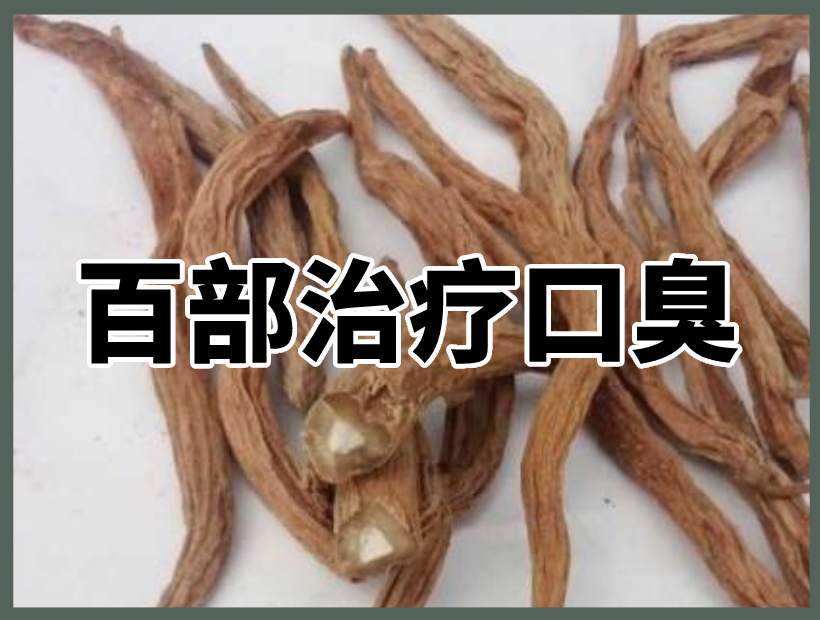 中藥百部