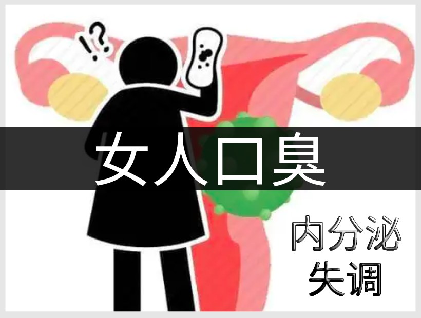 女人內(nèi)分泌系統(tǒng)