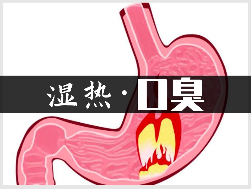 濕熱的胃