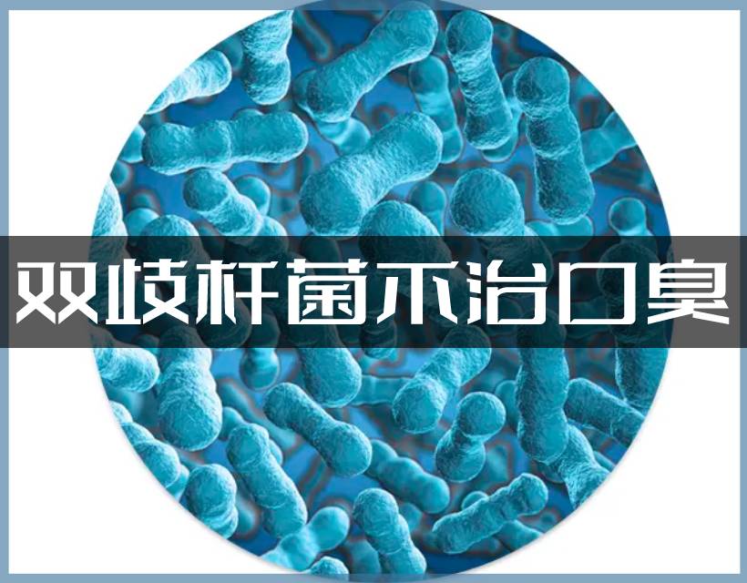 雙歧桿菌