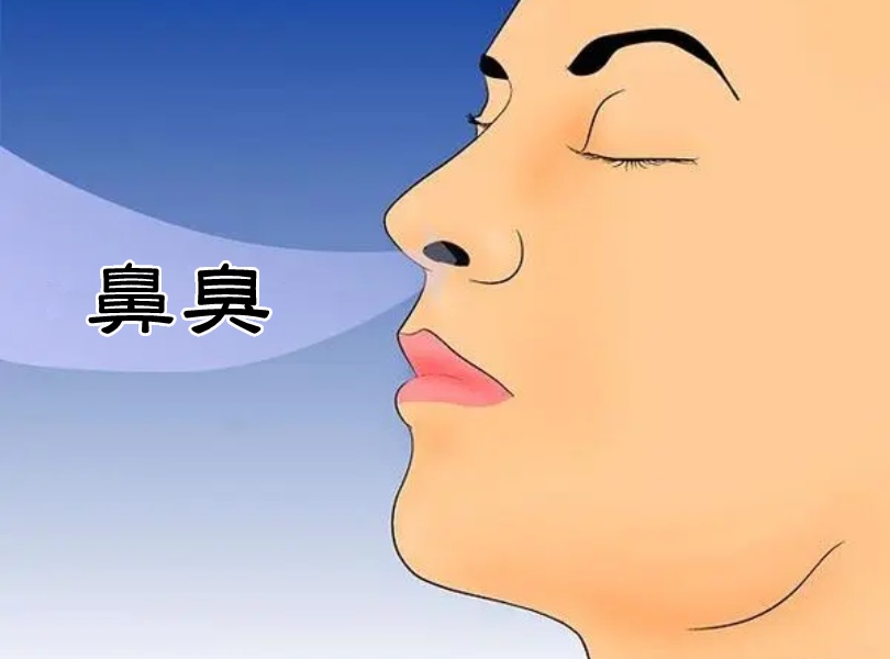 鼻臭示意圖