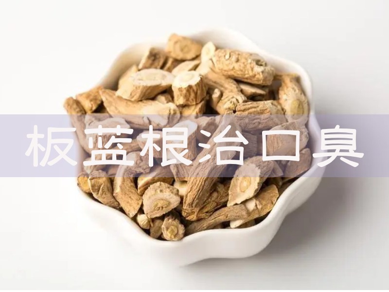 板藍(lán)根藥材