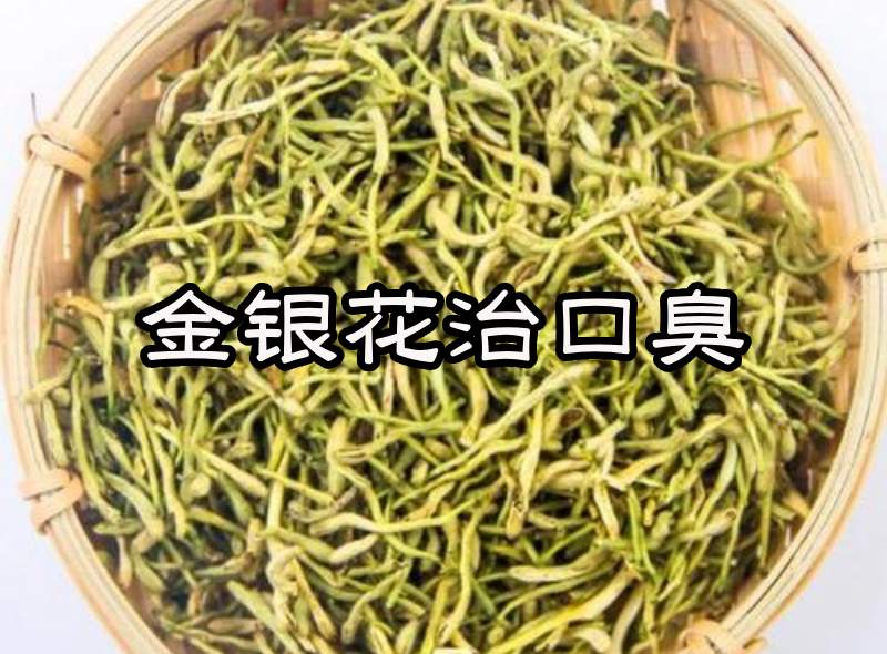 中藥金銀花