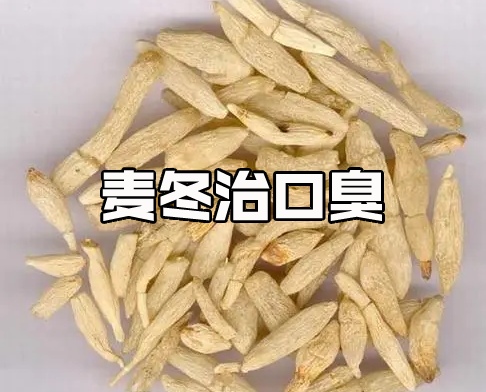 口臭喝麥冬