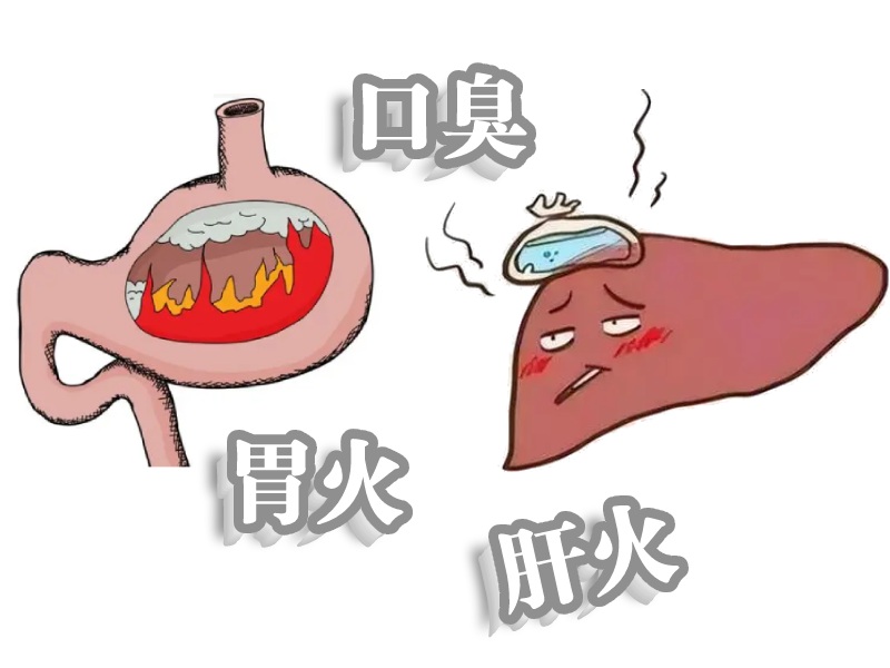 肝火與胃火口臭