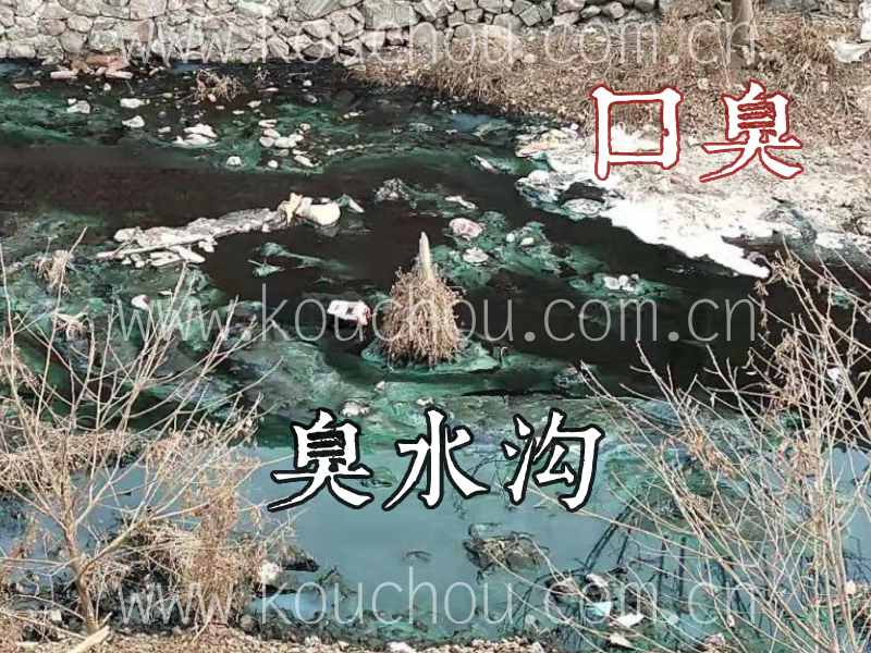 口臭猶如臭水溝