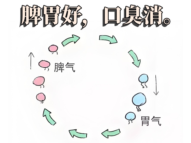 脾胃升降與口臭示意圖