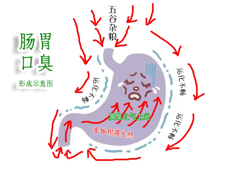 腸胃口臭形成圖