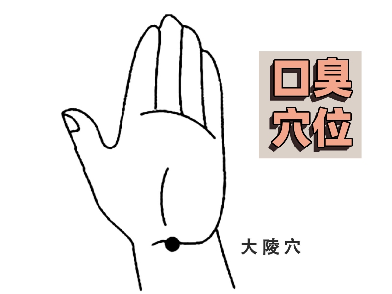 口臭穴位圖