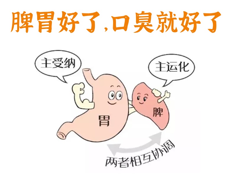 脾胃口臭