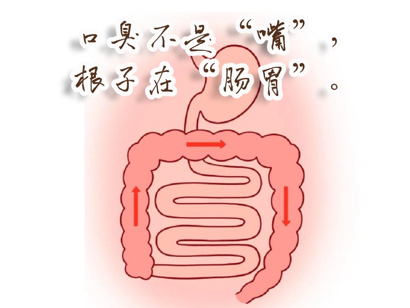 腸胃口臭